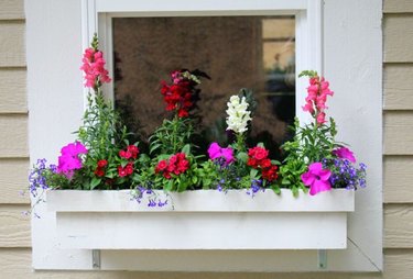 How to Build a Window Box Planter