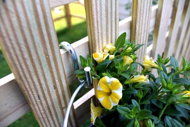 attach galvanized bucket to lattice using an s hook. repeat with other flowers.