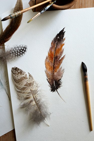 Watercolor feather.