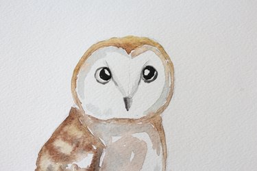 DIY Owl Watercolor Painting | ehow