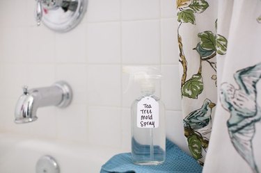Spray bottle in shower