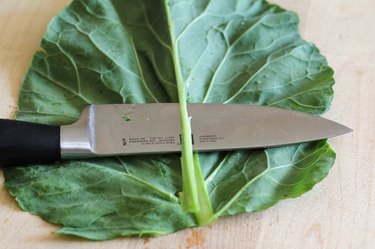 Collard leaf and knife.