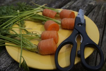 Carrot tops