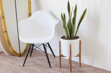 Building a Mid-Century Plant Stand