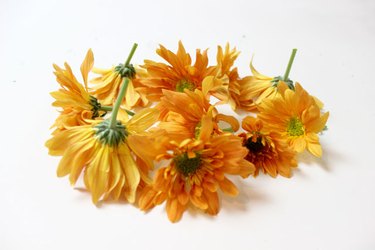 Chrysanthemums make an ideal flower for this DIY project