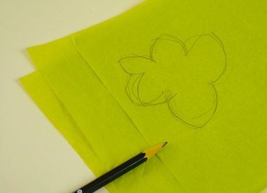 A pumpkin leaf drawing on green tissue.