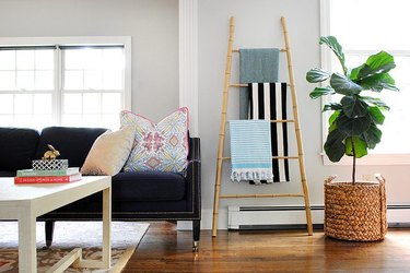 Living room with bamboo ladder leaning against wall next to plant and couch