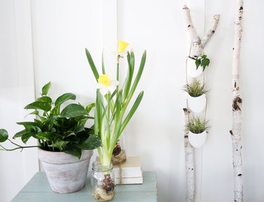 Hanging planters made from recycled plastic bottles