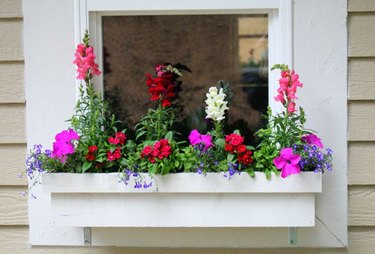 Window box planter with flowers planted