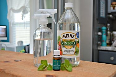 Ingredients for homemade bug spray for plants