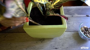 Putting fake plants into real soil.