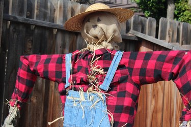 This scarecrow looks happy defending the garden.