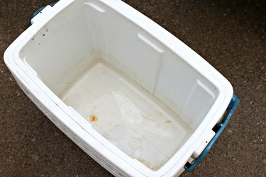 how to clean and deodorize a cooler