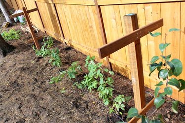 How to Build a Raspberry Trellis | eHow