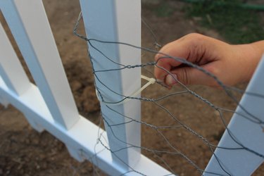 Using a zip tie to keep chicken wire attached to fence.