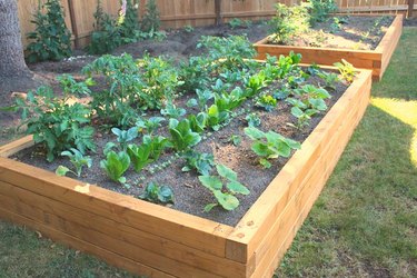 Completed raised garden bed project