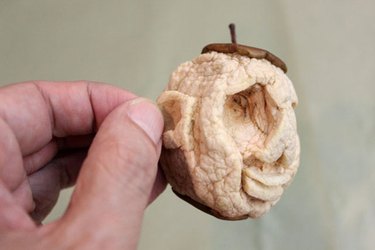 Accentuate ears on the dried apple