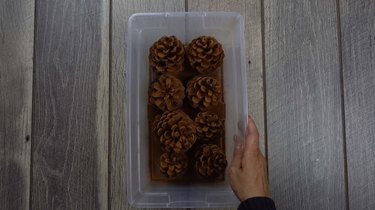Pinecones coated with ground cinnamon for DIY cinnamon-scented pinecones.