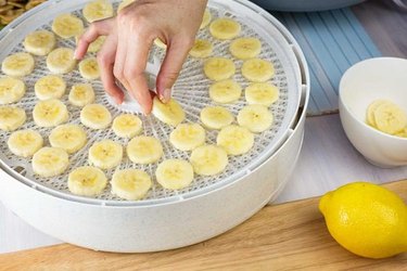 Hand placing slices spaced evenly on a food dehydrator tray.