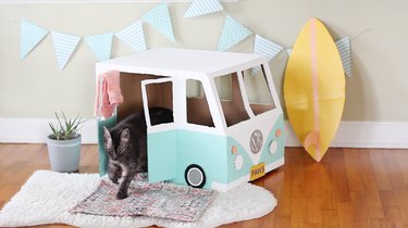 Cat walking out of VW bus