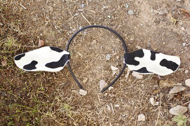 ...A DIY cow ears headband with black and white cow print fabric ears