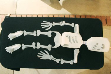 Skeleton bones all laid out.