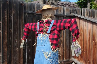 Scarecrow looks stuffed.