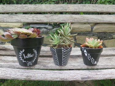 Chalkboard patterned pots in a row