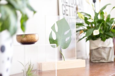 DIY Leaf Frame Stand