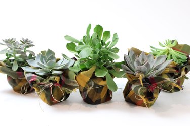 wrapped pots