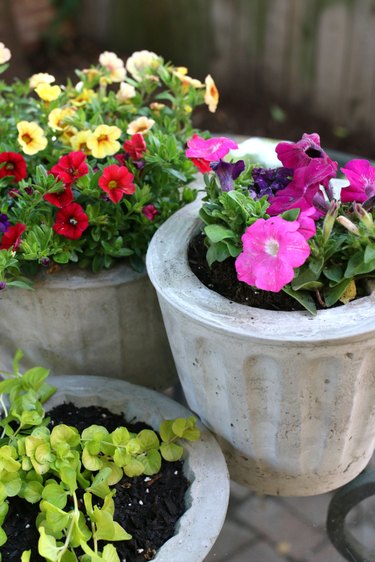 How to make cement planters