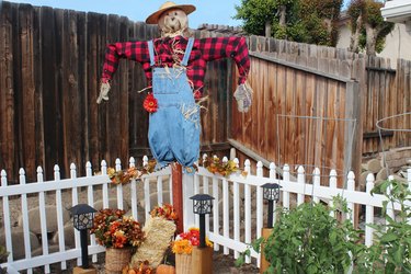 Scarecrow on a fence post guarding the plants.