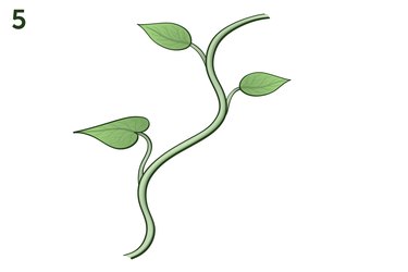 how to draw vines with leaves