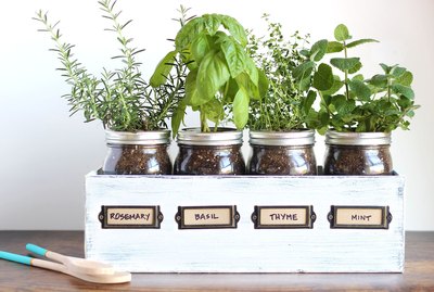 herb garden