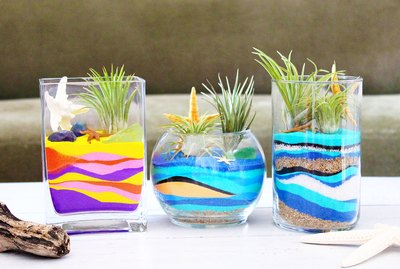 sand art terrarium