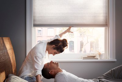 Levolor blinds