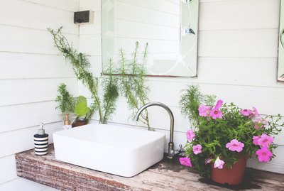 Potted Plant On Bathroom Sink