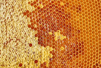 honeycomb with honey