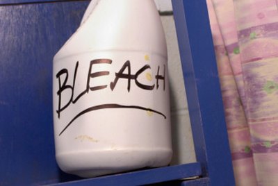 Step-by-step guide for clorox precautions DIY Project DIY project