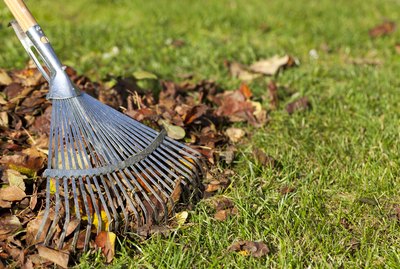 Rake, Leaves on Grass in Garden