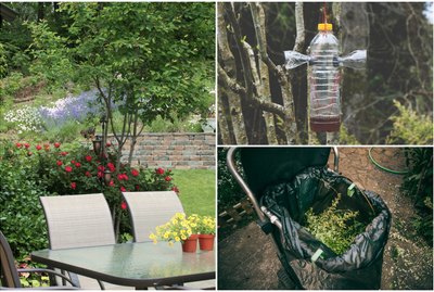 10 Smart Ways to Bug-Proof Your Backyard