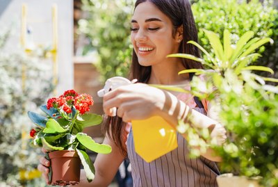Young woman is taking care of planta in her hand in her backyard