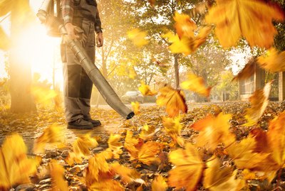 Man cleaning the yard with a leaf blower