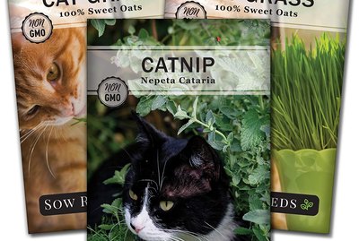 Catnip and cat grass seed packets.