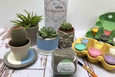Eco-friendly Clay Kit With Succulent or Cactus