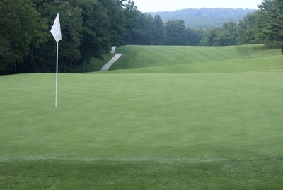 golf course 2