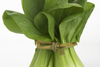 Bok choy