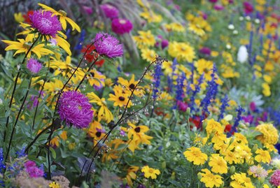 Bountiful Garden