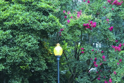 Light on During the Day