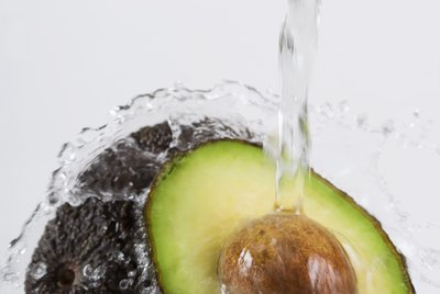 Avocados